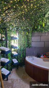 Au Lion DOr - Bâtisse Historique