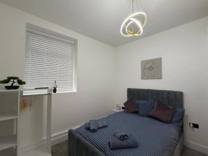 City Center Cardiff Apartment - 2 Bedrooms