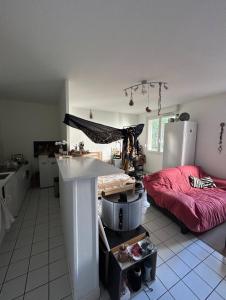 Appart lumineux Croix Rousse