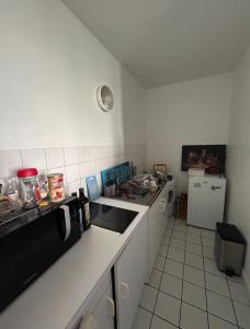 Appart lumineux Croix Rousse