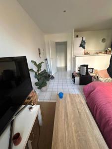 Appart lumineux Croix Rousse