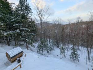 PTite Nyctale -Ressourcement - forêt et montagnes