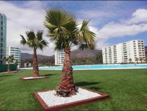 Apartamento completo en Papudo Laguna
