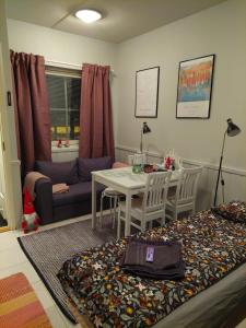 Levistar studio with sauna