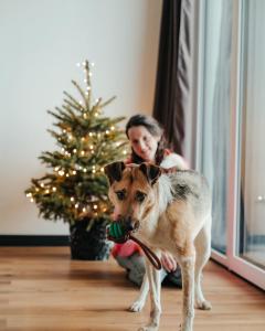 Moje Miejsce Polanica-Zdrój