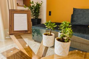 Alices Home Away From Home