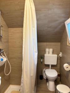 Silver Zsóry Apartman