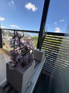 Imperdible departamento Ubicación privilegiada