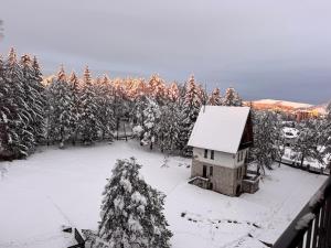 Woodland Strawberry - Titova Vila Zlatibor