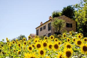 Pension CasaVostra - Ambience Suites Ostra Vetere Italie