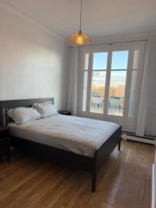 View on Eiffel Tower Seine and Main Monuments