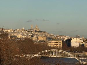 View on Eiffel Tower Seine and Main Monuments