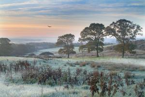Cysgod Y Ffordd - a gorgeous new barn conversion sleeping 4 guests with disabled facilities
