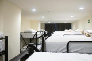 Travohostal Monterrey Historico