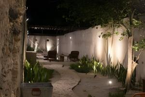 Casa Árbol Amazing House Downtown Merida Yucatan