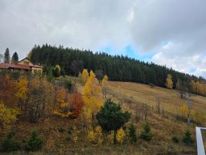 Aparthotel Apartamenty Czarna Góra 307