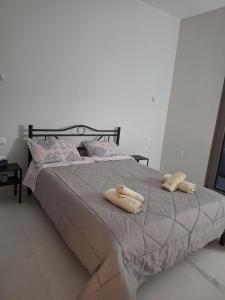 Υπέροχη Μονοκατοικία στα Τρίκαλα