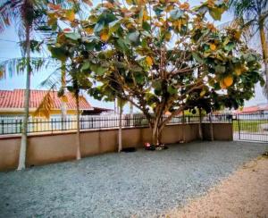 Casa espaçosa e bem localizada