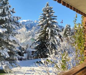 Alpenblick Apartment