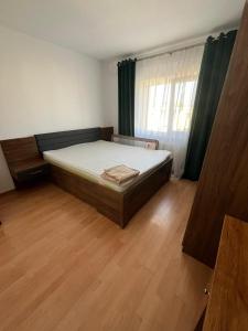 Dominic - 4 Mins from center