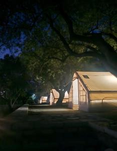 Cimarte The Path Lukove