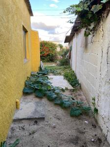 Casita céntrica con salida al mar