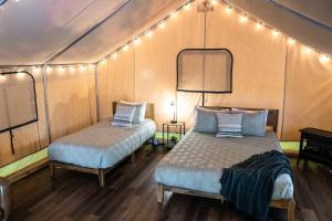 The Green Herons Nest - Family Glamping Tent in Red River Gorge