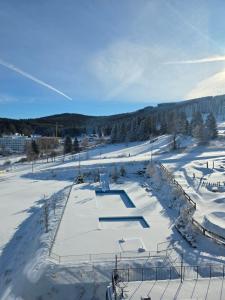 Czarna Perła Apartamenty Czarna Góra 512