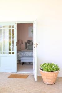 Largest one bed apartment & private pool in the Hoek