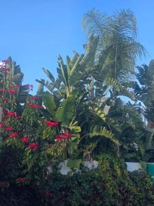 Casa Blanca Rez de chaussée, parking Privé, Terrasse