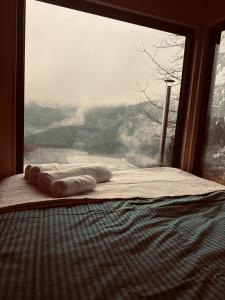 TogetherNest - Cedar