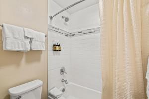 Bear Claw 308 - Ski-in Ski-out Condo!