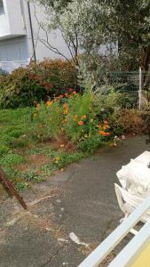 Residenza Al giardino