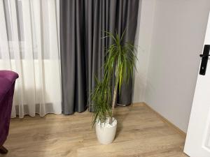 Boutique comfort in the heart of the city