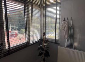 Boutique comfort in the heart of the city