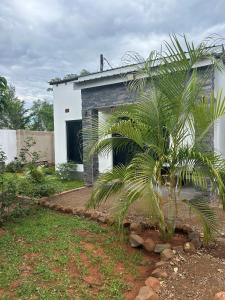 Kasuba One Bedroom Apartment