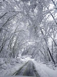 Domek przy Modrzewiach