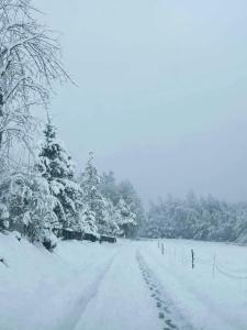 Domek przy Modrzewiach