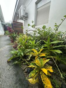 Lewiss Apartamentos #32