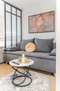 Beautiful apartment in the city center, air conditioning, elevator