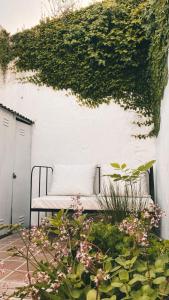 Departamento Constitución