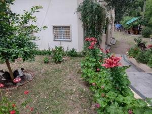 La Pergola 3 Sauce Monte Hermoso