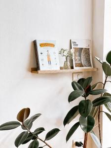 Jeune Hotel at Phra Singh