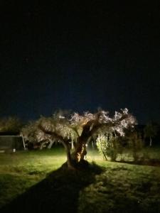 Monte das Hortas Velhas