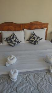 Walk to Vatican museum