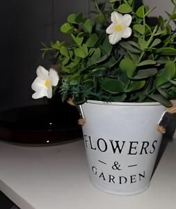 Carnaval | 2 Minutos da Praia | Ar Condicionado