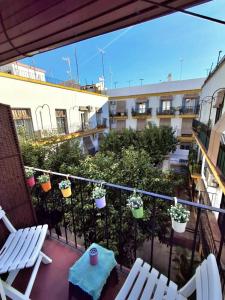 Robertas Guest House