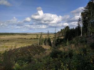 4 person holiday home in Thisted-By Traum