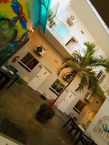 Mi Quinta Raíz Loft Apartments