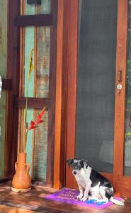 Casa dos Araçaris - Península de Maraú